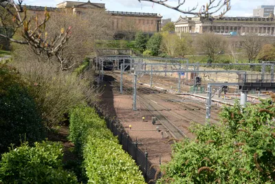 DSC_7286 (Large).JPG